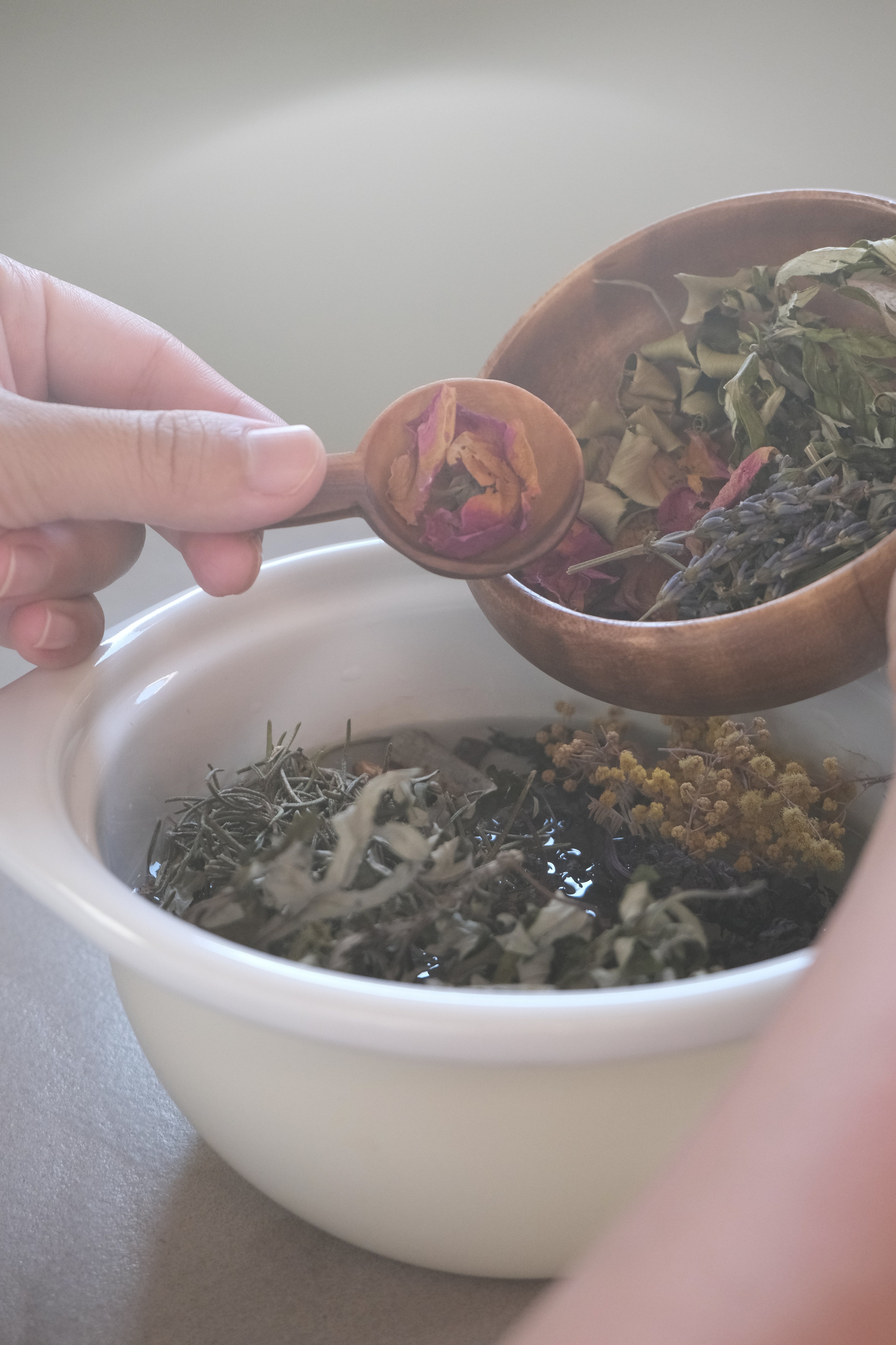 ハーブ定期便+オンラインサークル「Maeve circle」（年払い）